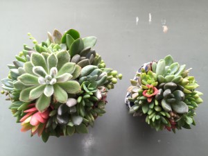 2種　俯瞰